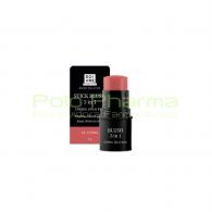 STICK BLUSH BROWN 3 EN 1 SOIVRE 4G CN 213331